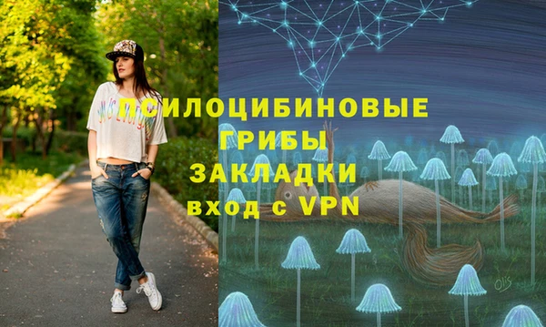 соль курить ск Бородино