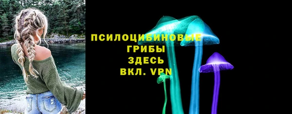 соль курить ск Бородино