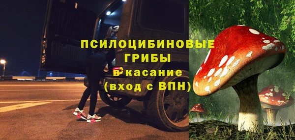 соль курить ск Бородино