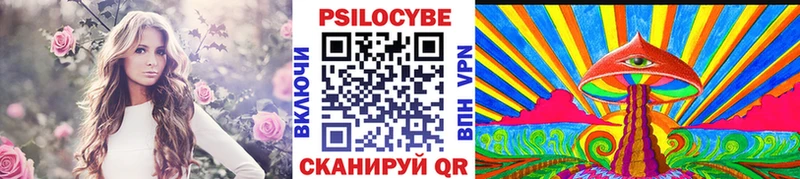 Псилоцибиновые грибы MAGIC MUSHROOMS  Купить где  Порхов 